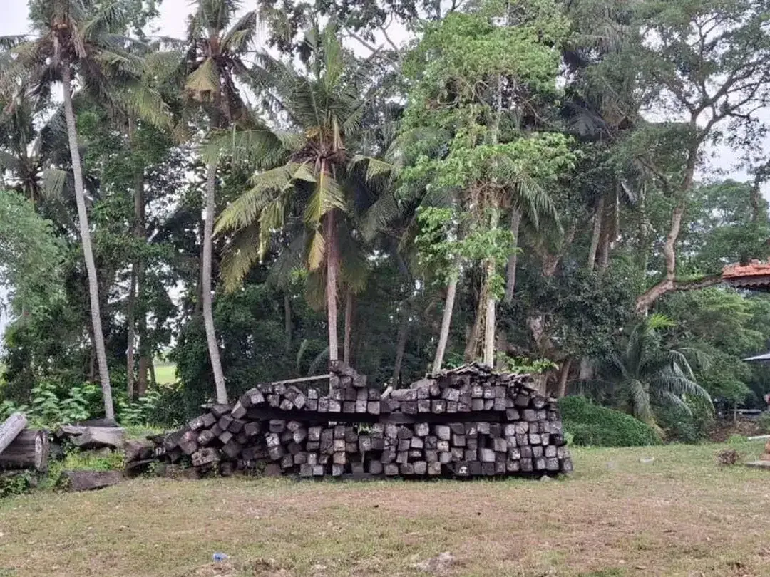 Tanah 28,75 Are View Sawah Dijual, di Tanah Lot Tabanan Area - Image 1 of 6
