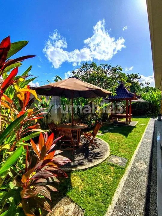 Amr.088.kbd | For Monthly Rent - Modern Studio Apartment In Sanur - Image 1 of 4