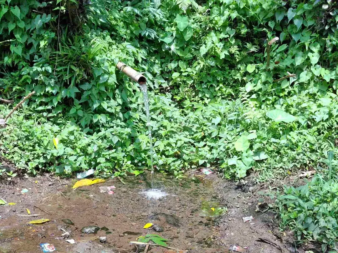 Dijual tanah kebun kopi berisi sumber mata air jernih atau artesis yang mengalir dengan view sawah dan los sungai kecil berbatu - Image 1 of 8