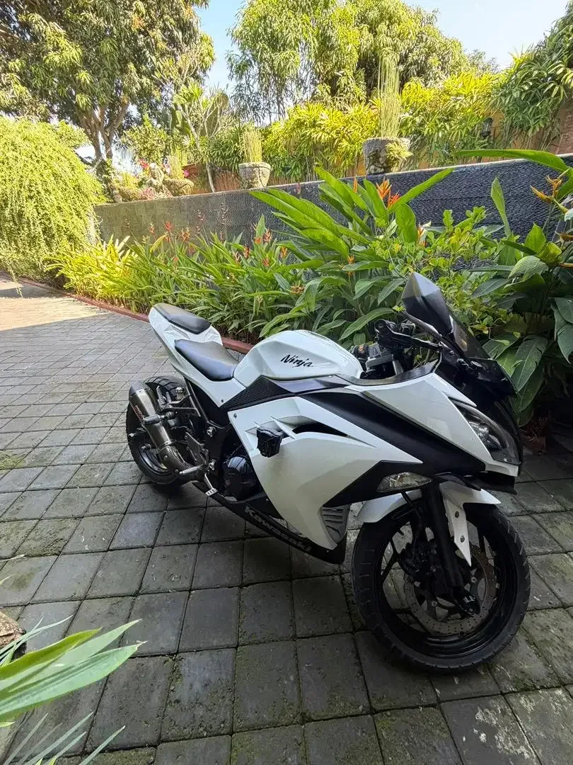 Ninja fi 250 tahun 2016 - Image 2 of 9