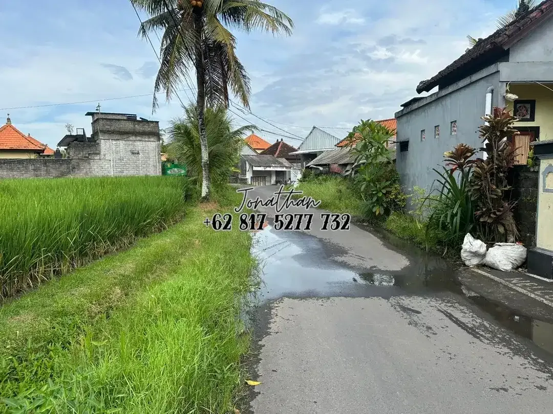 Disewakan Tanah Zona Kuning di Kaba Kaba Tabanan (minimal ambil 10 are) - LLWY - Image 5 of 6