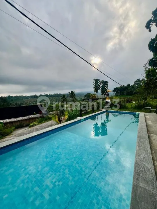 Hidden Gem Villa Kayu dan Restaurant Full Views Jatiluwih Penebel Bali - Image 3 of 4