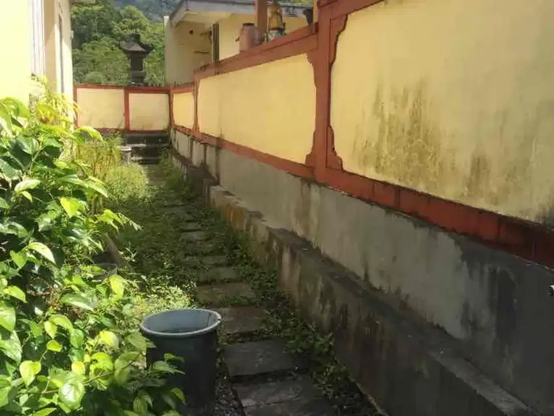 Sebidang Tanah Bonus Bangunan di area Candikuning -BEDUGUL - Image 2 of 8