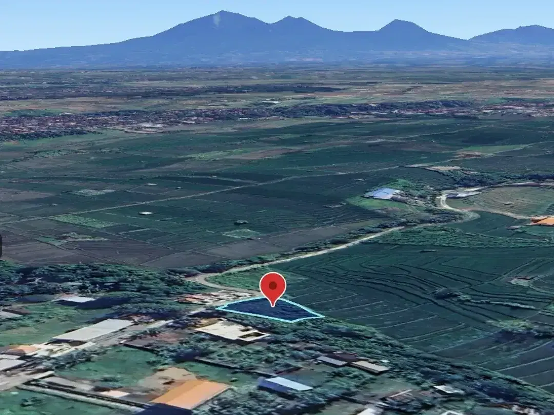 Prime land of 650 sqm amidst rice fields for sale in Cepaka, Tabanan - Image 8 of 9