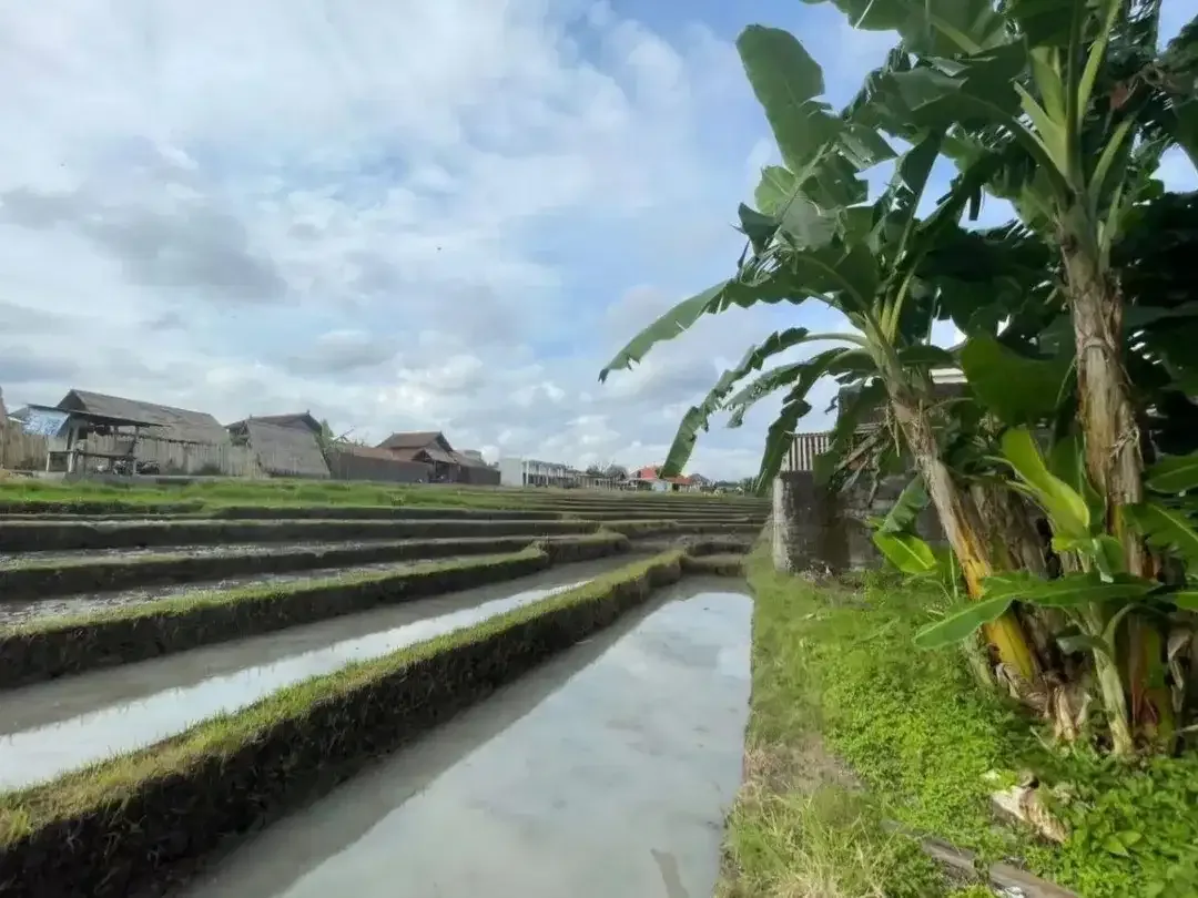 Tanah di Jantung Canggu View Sawah - Image 6 of 6