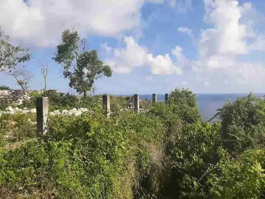DIJUAL TANAH TEBING, NYANG NYANG, ULUWATU - Image 4 of 10