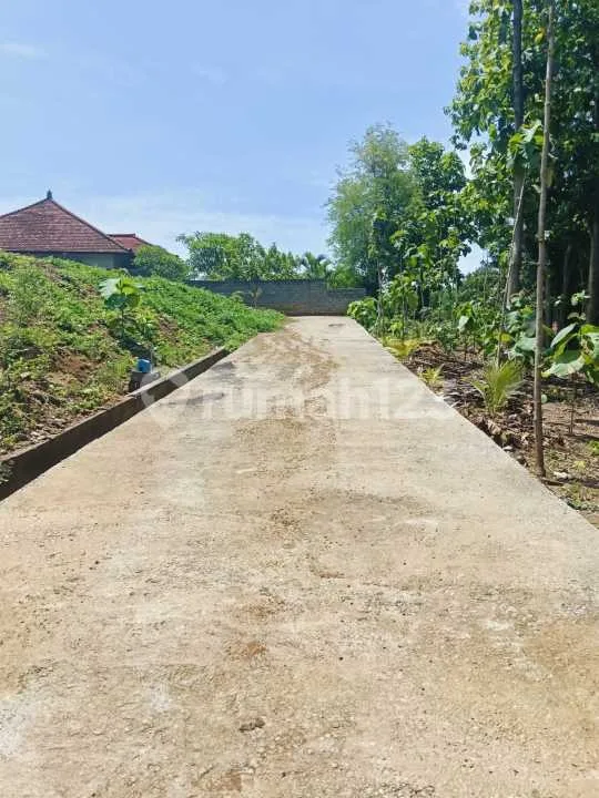 For Sale Premium Land 3 Minute Drive To Central Lovina Good For Villa - Image 3 of 4