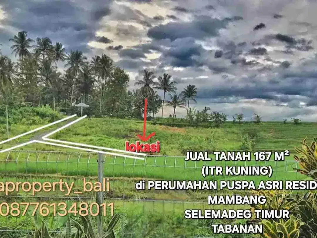 Jual Tanah 1,67are VIEW SAWAH, ITR perumahan di Puspa Asri Residence, Selemadeg Tabanan Bali - Image 2 of 10