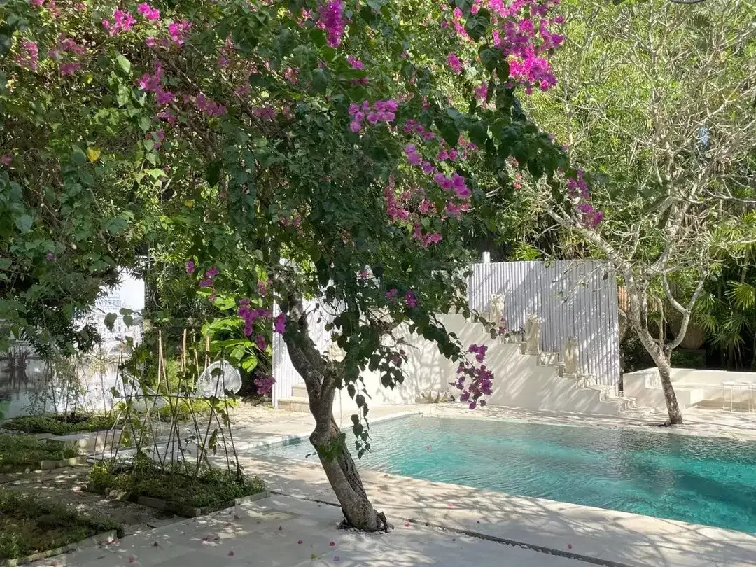 Freehold - Boutique private residence villa with organic gardens in Canggu area - Image 9 of 10