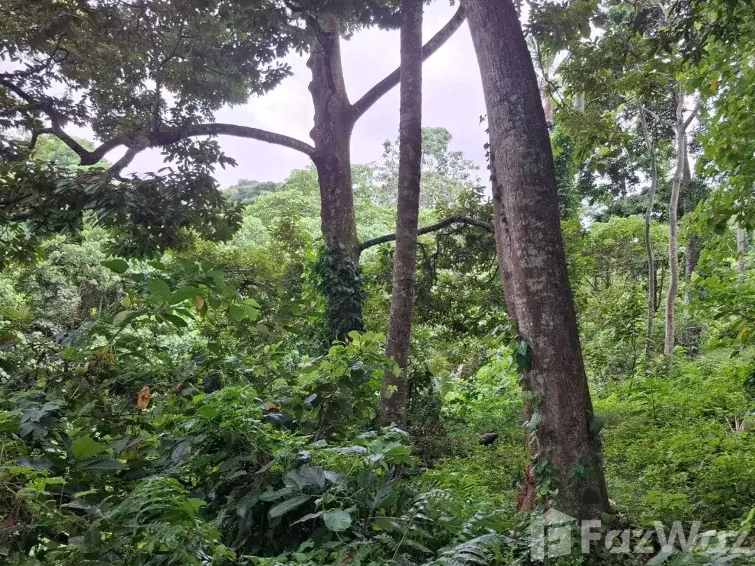 Land for sale in Ubud, Bali - Image 6 of 10