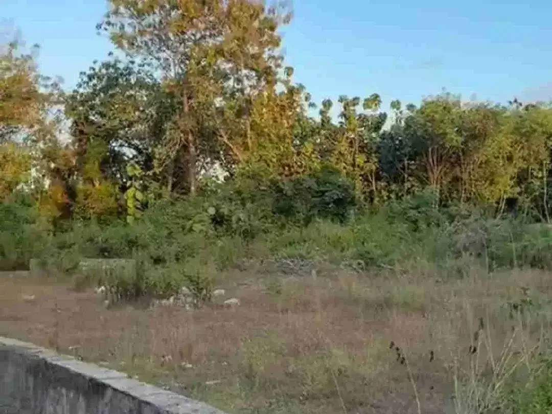 Tanah strategis itr pemukiman taman sari mumbul nusa dua Bali - Image 7 of 10
