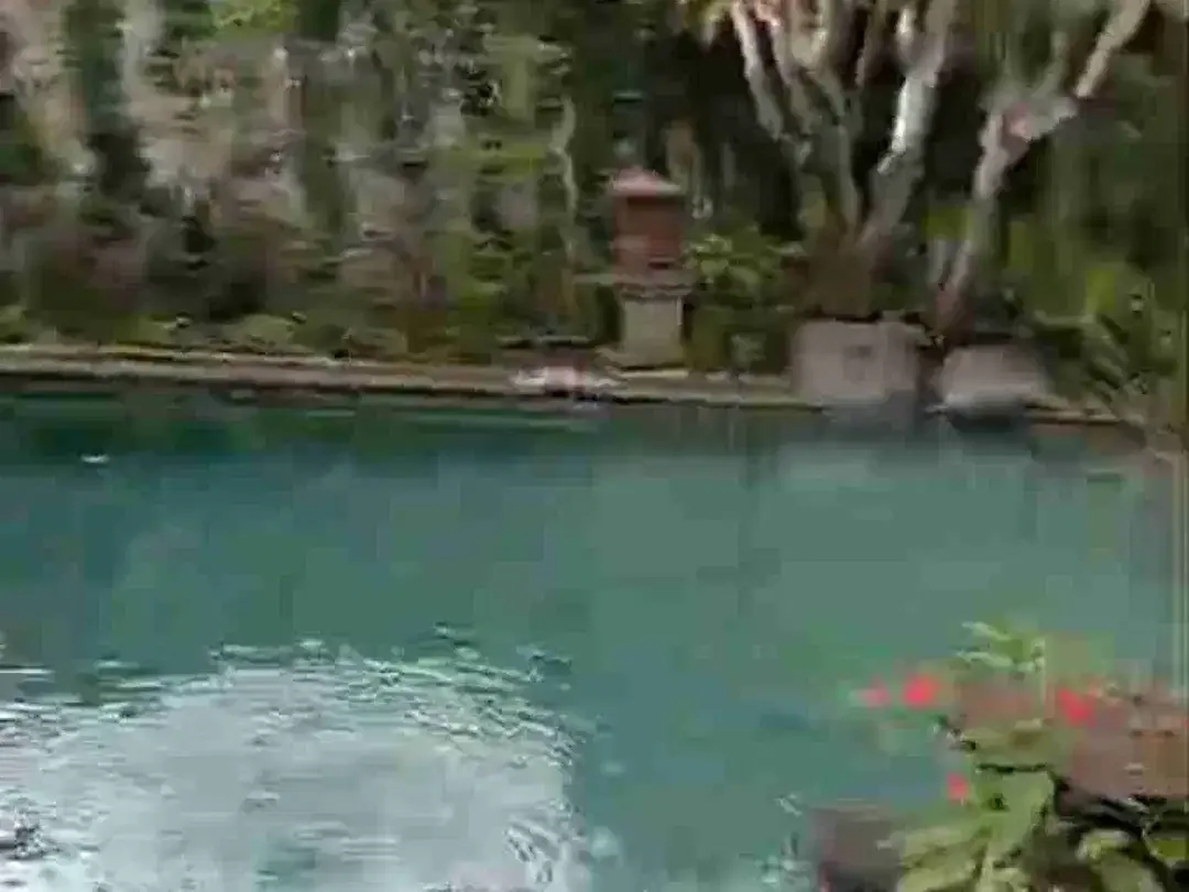 tanah bonus villa beachside jalan bumi ayu sanur bali - Image 2 of 9