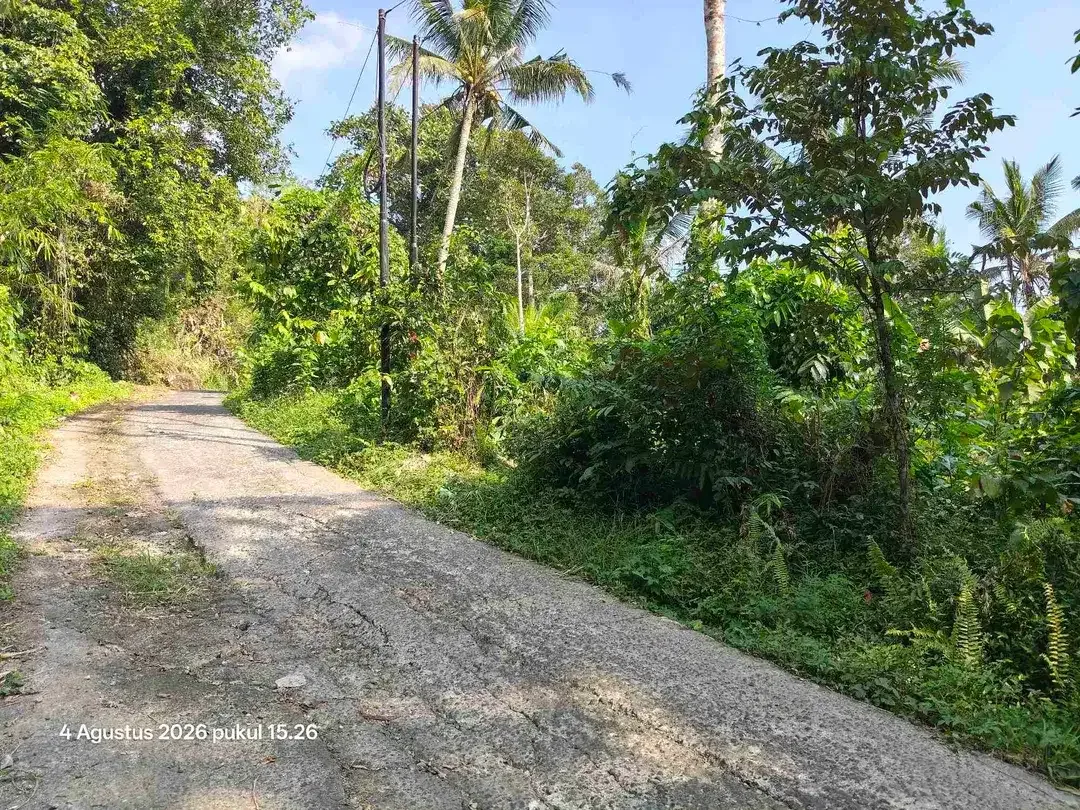 Tanah Kebun Pinggir Sungai dekat Pantai Kelecung Bali - Image 4 of 4