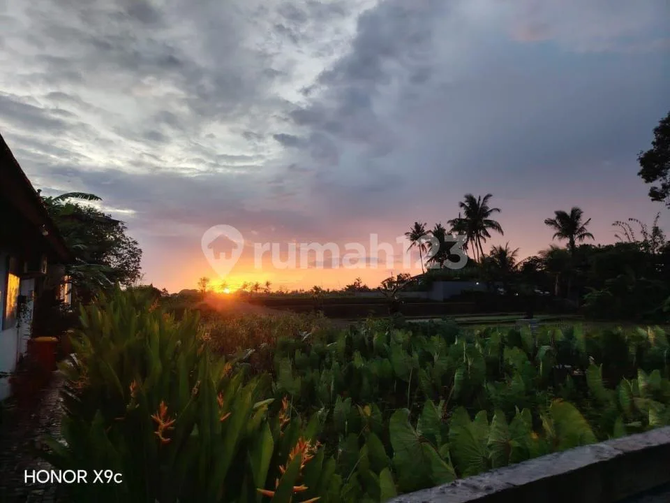 For Rent Villa Rice Field View 10 Menutes From Mongkey Forest Center 5 Menutes From Rusters Kafe Sayan 12 Minutes From Mongkey Forest Center - Image 2 of 4