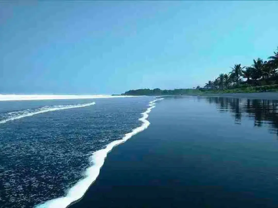 Tanah Kavling Villa View Sawah, Sungai & Laut, Harga Ekonomis di Kelating, Kerambitan, Tabanan dekat Pantai - Image 8 of 10
