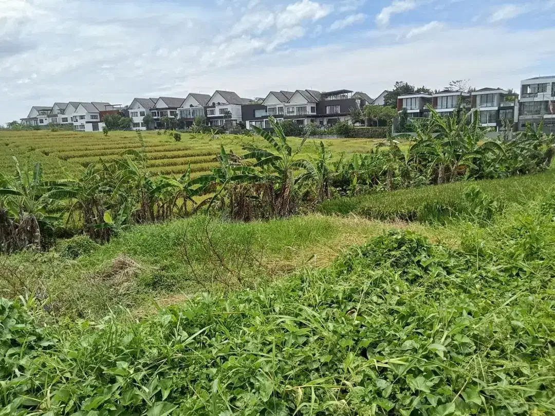 DIJUAL / FREEHOLD : Tanah Kosong View Paddie, di Pantai Cemagi, Bali - Image 1 of 6