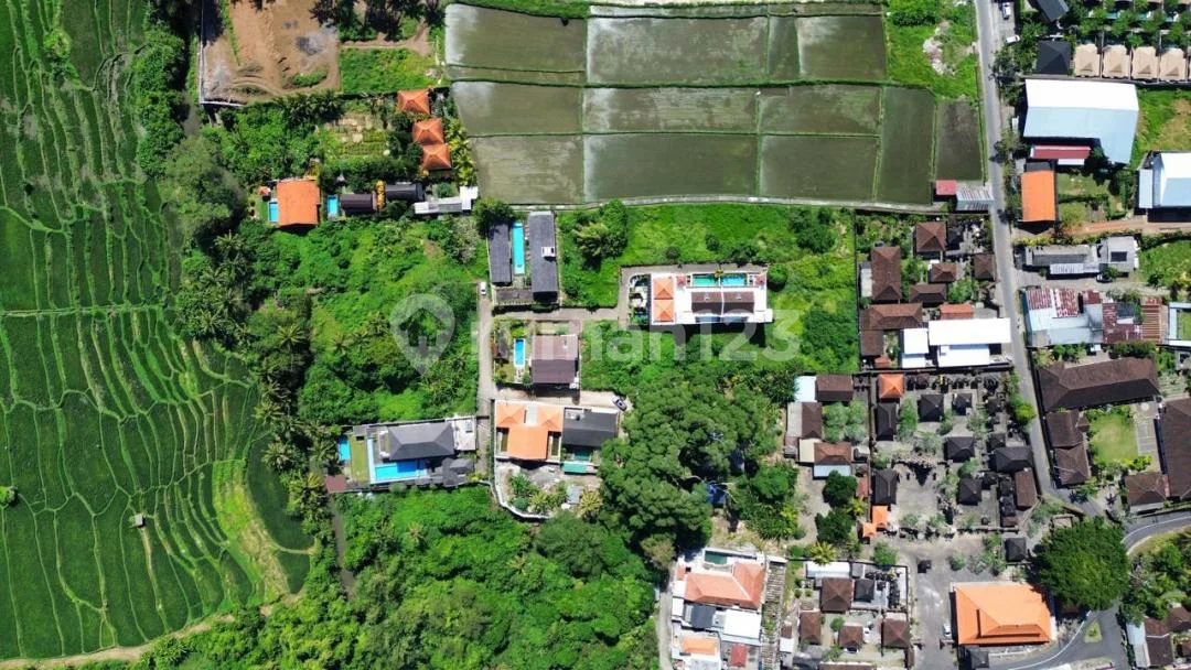 Buc - Dijual Lahan Murah Mas, Ubud Lokasi Strategis SHM - Image 3 of 4