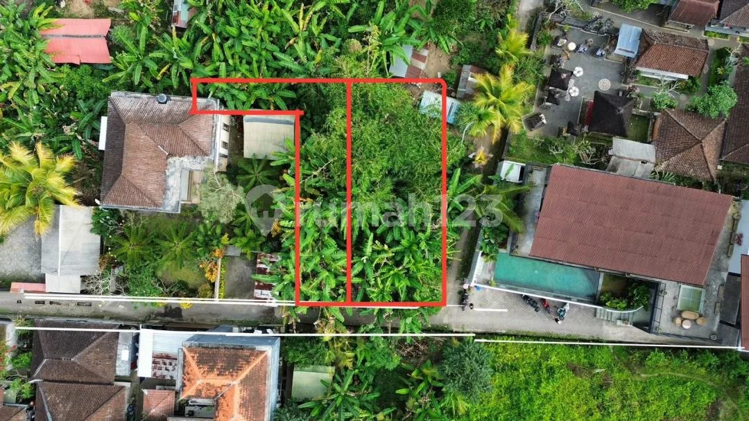 Dijual Tanah Premium Tirta Tawar Ubud Lingkungan Vila Strategis - Image 3 of 4