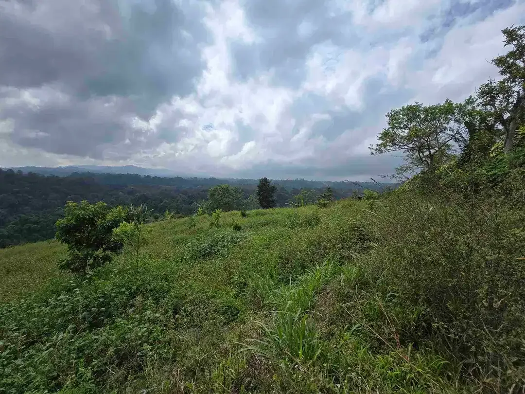 Dijual tanah view lembah sangat cantik di kintamani bali - Image 8 of 10