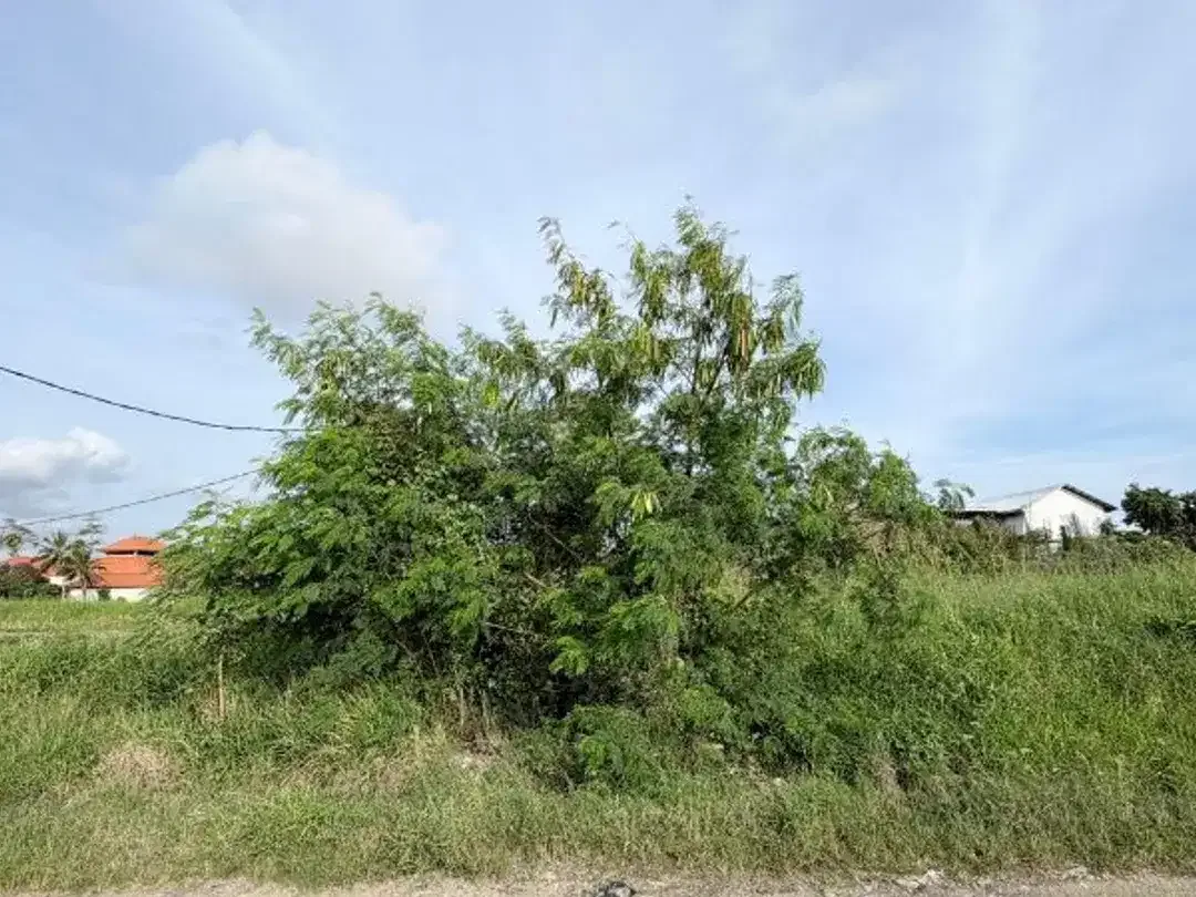 LEASEHOLD TANAH DEKAT PANTAI CEMAGI MENGWI BADUNG - Image 4 of 10
