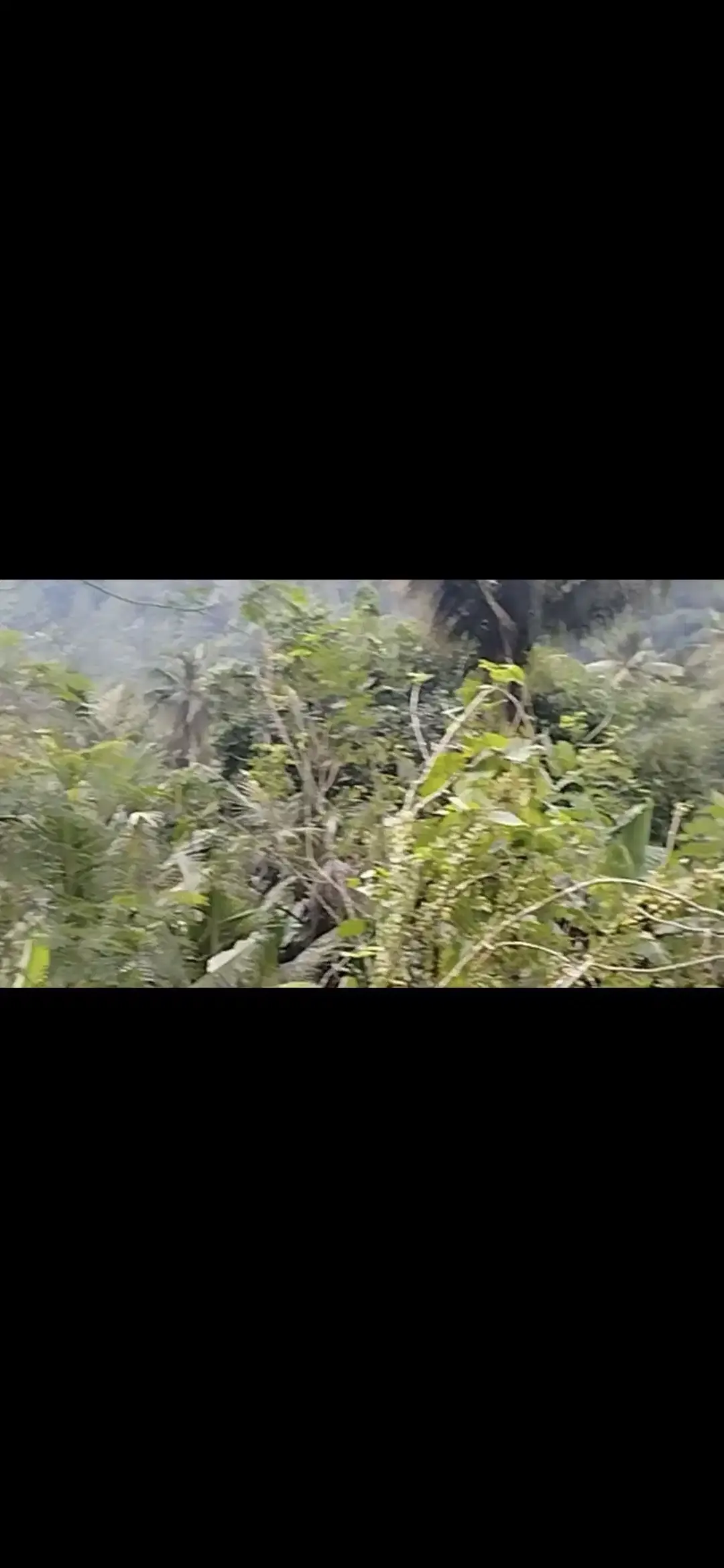 Land 2ha for Sale Location near Besakih area Karangasem Bali - Image 5 of 10