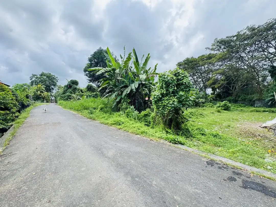Tanah strategis pantai siyut, Tulikup Gianyar - Image 1 of 5