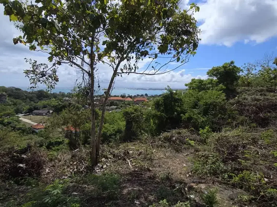 FOR SALE TANAH: LOKASI FULL VIEW  JALAN UTAMA ULUWATU JIMBARAN BALI  LINGKUNGAN VILLA DAN HOTEL DI AREA JIMBARAN BAWAH DAN SIDEWALK - Image 7 of 8