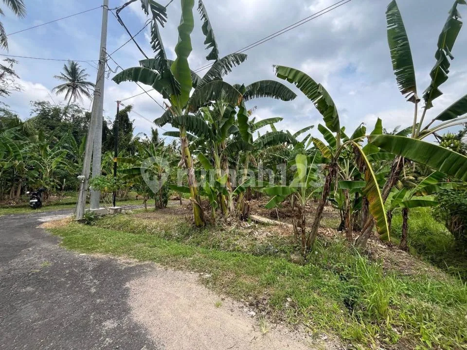 Dijual Tanah Dekat Kota Tabanan, Bali - Image 4 of 4