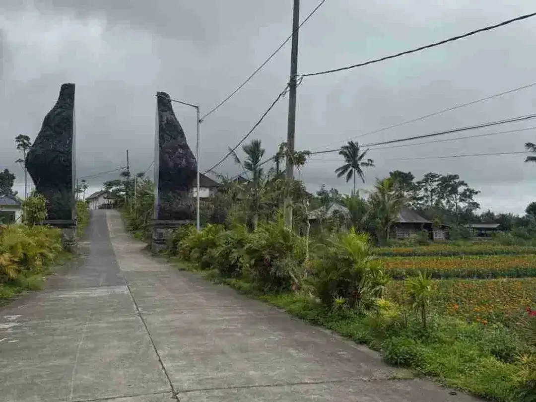 Lahan view indah plaga petang 6 are SHM - Image 5 of 7