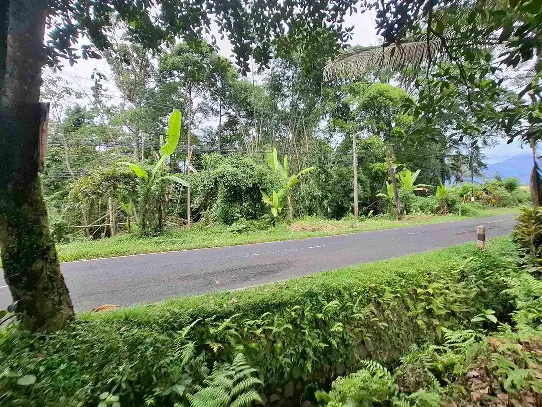 tanah luasan kecil view sawah dapat akses jalan utama penebel - Image 7 of 8