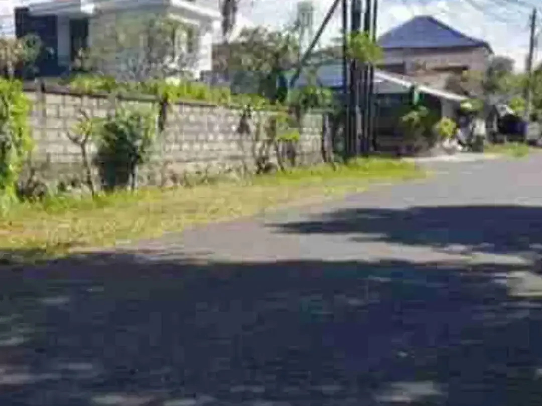 TANAH PREMIUM BADAK AGUNG 100 METER DARI JALAN UTAMA COK AGUNG TRESNA RENON SUDAH TEMBOK KELILING - Image 1 of 10
