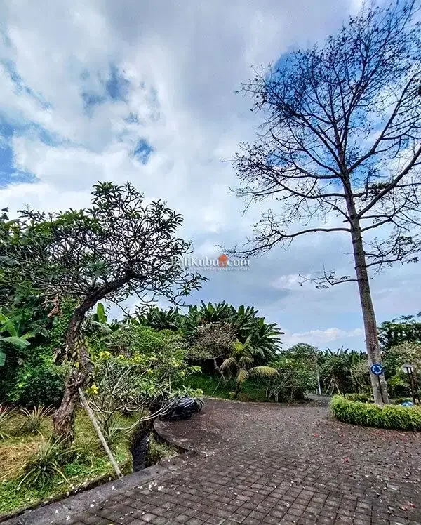 [AMS-067.DRM] Jual Tanah Kavling 1 arean Super Premium Siyut Gianyar - Image 4 of 10