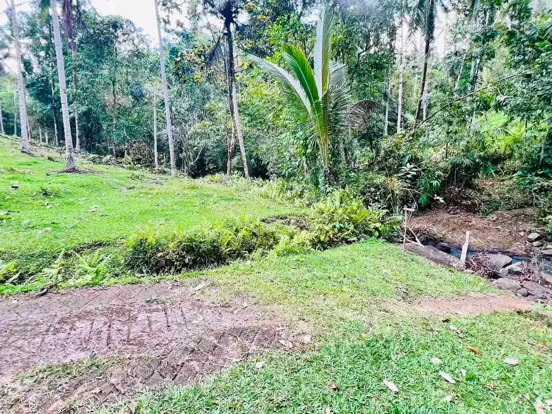 jual tanah Los sungai cantik di kawasan villa di desa manikyang tabanan bali. - Image 8 of 10