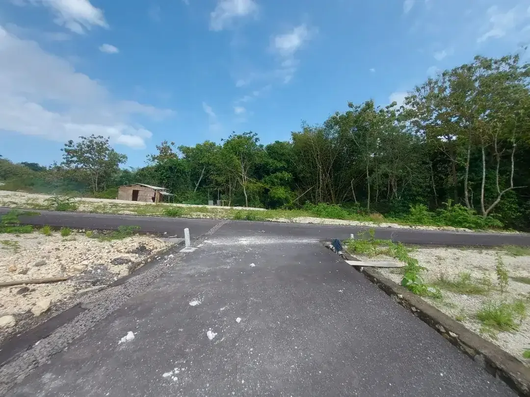 Dijual Tanah Bonus Bangunan dekat Pantai Pandawa & Kampus Poltekpar di Kutuh, Nusa Dua. - Image 5 of 10