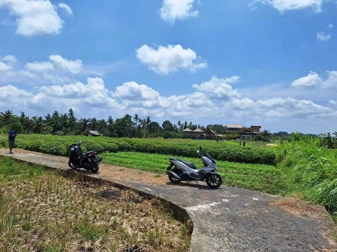 Dijual Tanah Ubud 350 m2 sangat strategis View Sawah Aktif - Image 6 of 10