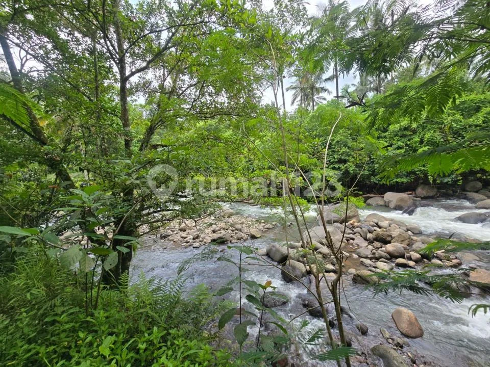 Butuh Uang.cepat Dijual Tanah.murah Los Su.gai di Penebel Tabanan.bali - Image 1 of 4