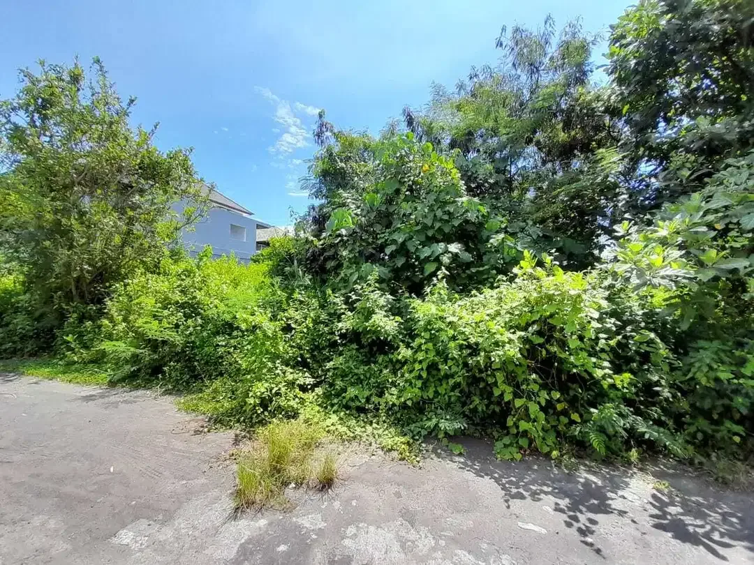 JUAL TANAH SHM PINGGIR PANTAI DI KETEWEL - Image 7 of 7