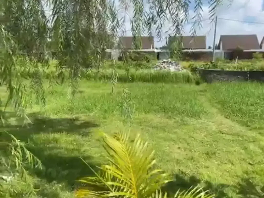 JUAL TANAH BAGUS DI LODTUNDUH - Image 3 of 3