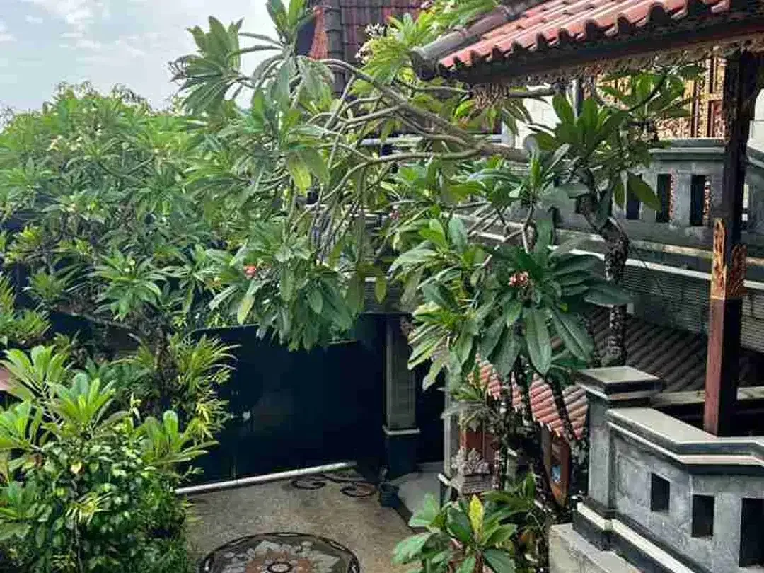 Rumah Style Bali Di Siulan Penatih Dkt Gatsu Timur Tohpati WR Supratman - Image 10 of 10