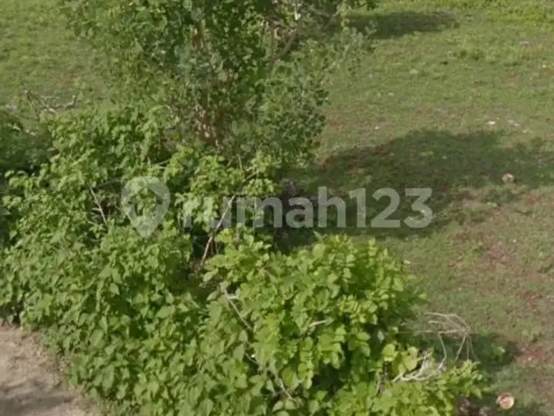 View Laut Tanah Area Kutuh 2 Are Zona Kuning - Image 5 of 5