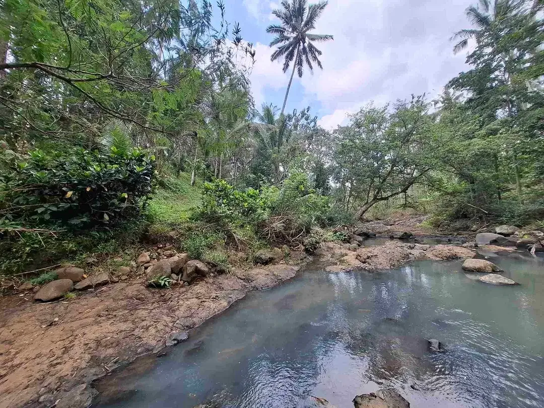 Dijual tanah kebun los sungai lokasi sangat strategis dekat dengan fasilitas umum dan tempat wisata di tabanan bali - Image 7 of 10
