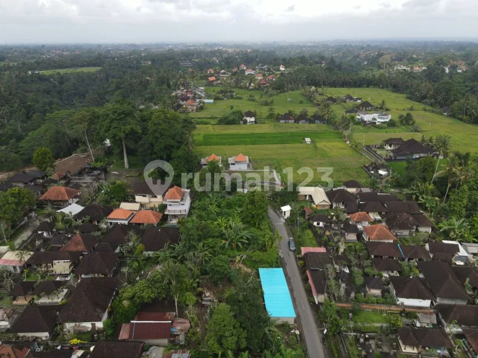 Commercial land sale 1000m² - Kelusa Ubud Bali - Image 3 of 4