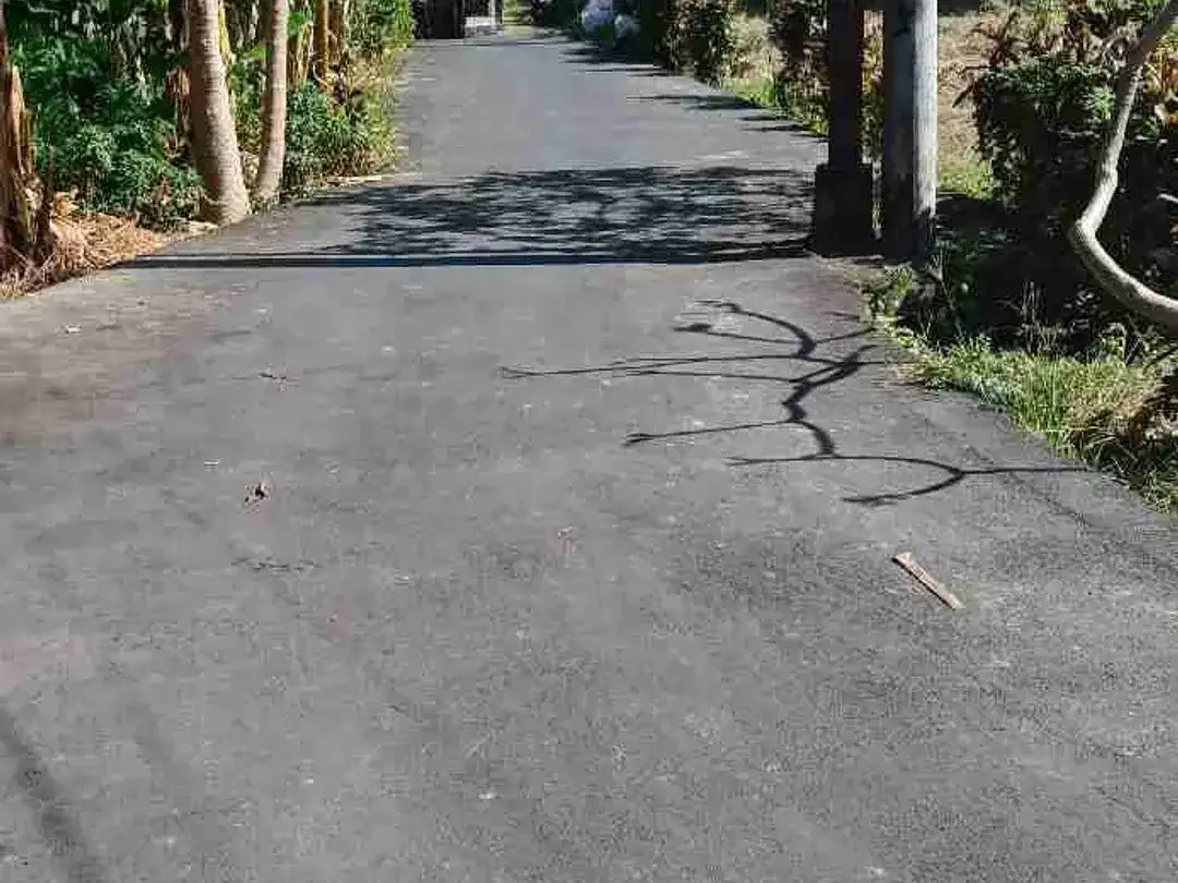 Di jual tanah jalan Sedap malam , Kesiman , Denpasar, Bali - Image 4 of 7