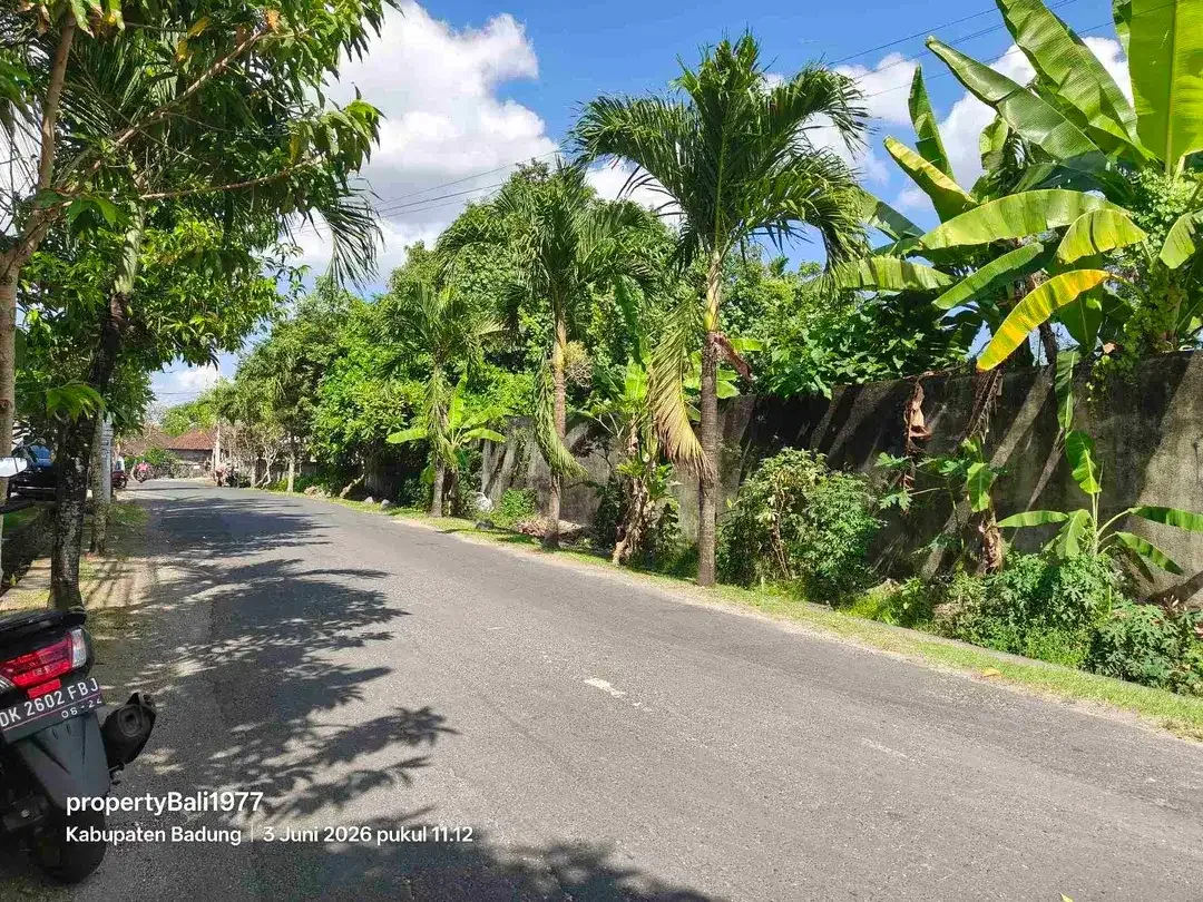Tanah 435m2 jln Utama Uma buluh kayu tulang canggu - Image 3 of 7