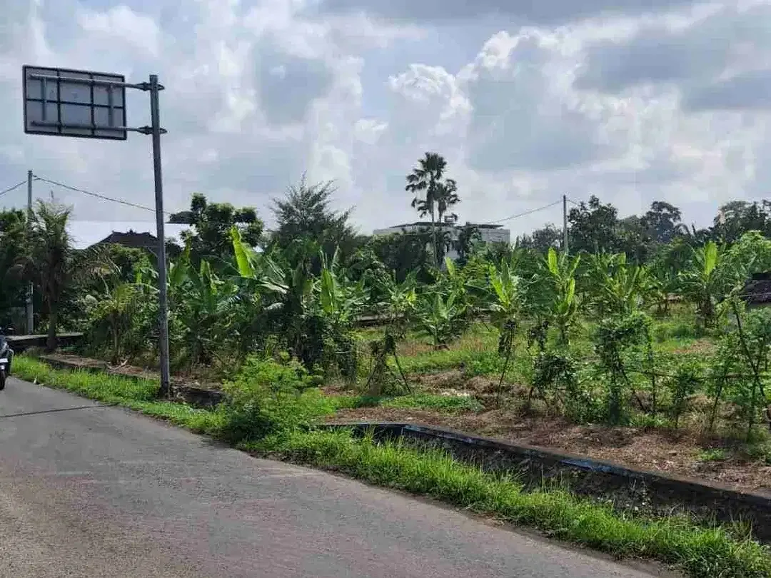 tanah kontrak jalan utama pantai nyanyi tabanan - Image 2 of 8
