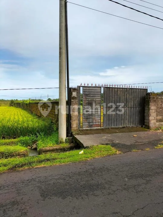 Tanah View Sawah Strategis Zona Kuning di Jalan Utama Baha Mengwi - Image 1 of 4