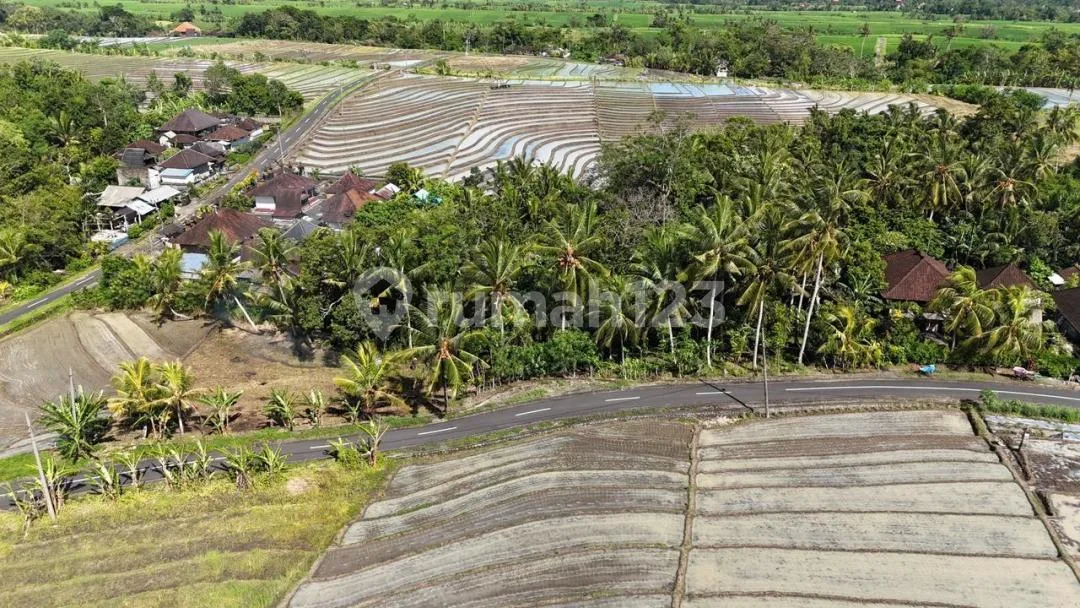 Tanah Murah Dekat Pantai Pasir Tabanan 2045 M2 Hrg Idr 1,5 Jt/M2 - Image 3 of 4