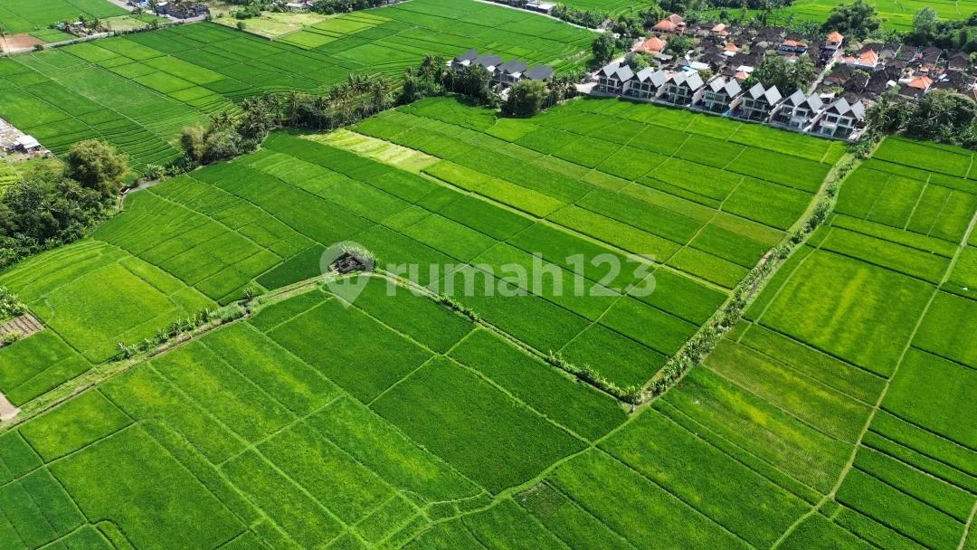 Tanah Kedungu Peruntukan Villa View Syurga - Image 2 of 4