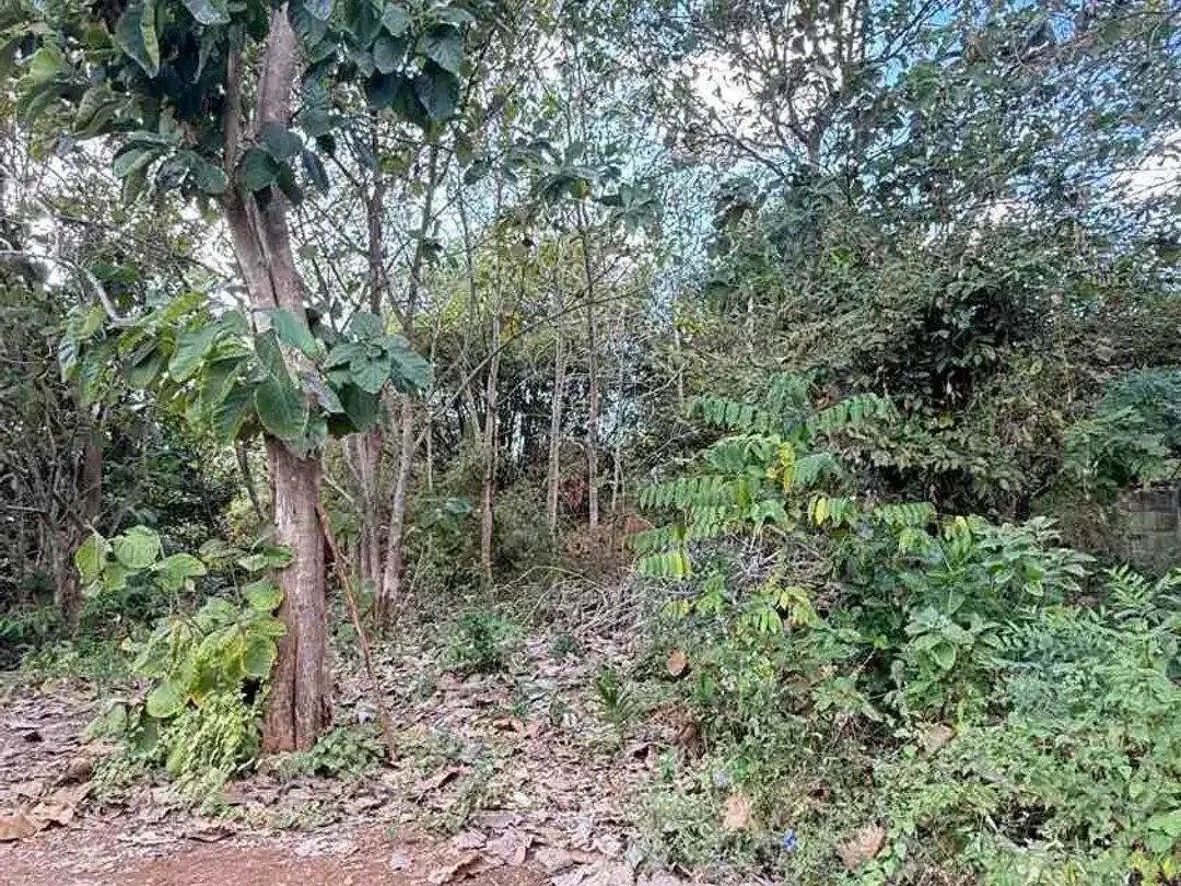 DIJUAL TANAH 2 MENIT KE KAMPUS UNUD JIMBARAN – COCOK UNTUK KOS & GUESTHOUSE - Image 10 of 10