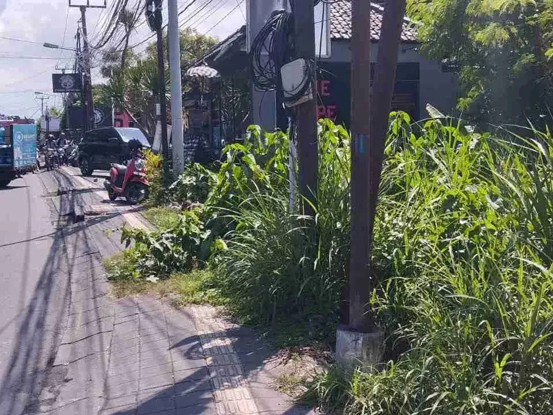 tanah bagus pinggir jalan raya Canggu cocok untuk usaha - Image 5 of 6